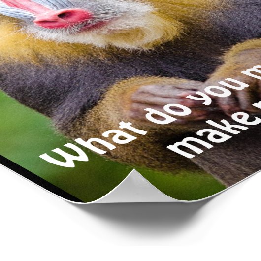 Funny Mandrill Stylists ポスター (角)