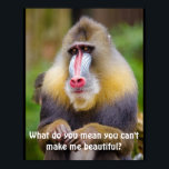Funny Mandrill Stylists ポスター<br><div class="desc">This mandrill looks incredibly sad. The text reads, "What do you mean you can't make me beautiful?"</div>