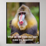 Funny Mandrill Stylists ポスター<br><div class="desc">This mandrill looks incredibly sad. The text reads,  "What do you mean you can't make me beautiful?"</div>