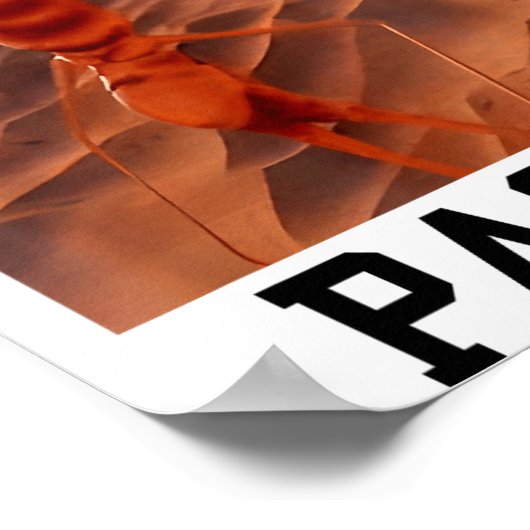 Funny Marcus The Worm Rigatoni Pasta Robert Meme T ポスター (角)