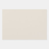 Funny Master Graduation Gift Skeleton Graduate ラッピングペーパーシート (正面3)