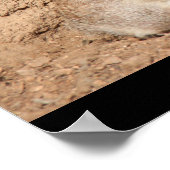 funny meerkat poster, Party Animal! ポスター (角)