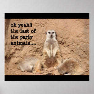 funny meerkat poster, Party Animal! ポスター