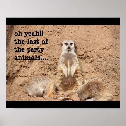 funny meerkat poster, Party Animal! ポスター (正面)