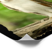 Funny Meowl Meme, Cat Owl Meme Brainrot Gen Alpha  ポスター (角)