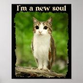 Funny Meowl Meme, Cat Owl Meme Brainrot Gen Alpha  ポスター (正面)