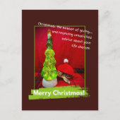 Funny Merry Christmas Unsolicited Advice Turtle ポストカード (正面)