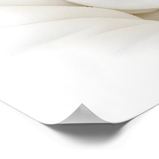 Funny Monkey Bathroom Print, Monkey In Bathrobe ポスター (角)