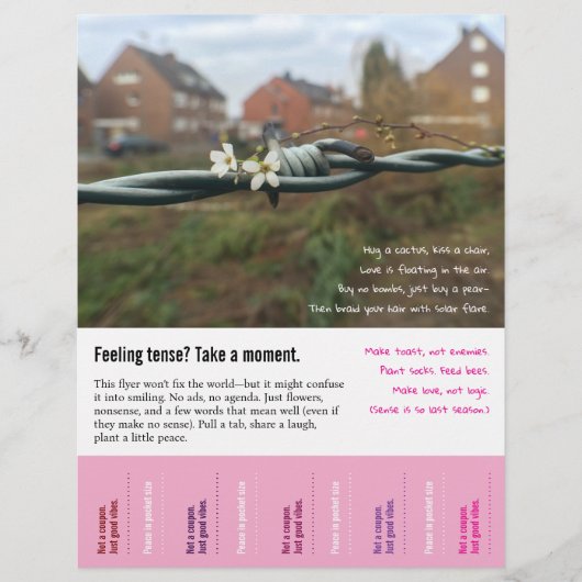 Funny, Nonsense Verse with Tear-Off Tabs チラシ (正面)