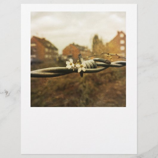 Funny, Nonsense Verse with Tear-Off Tabs チラシ (裏面)