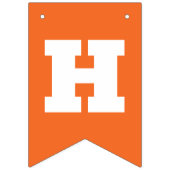 Funny Oh For Luck's Sake St Patrick's Day バンティングフラッグ (第2の旗)