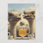 Funny Ostrich Teatime ポストカード (正面)