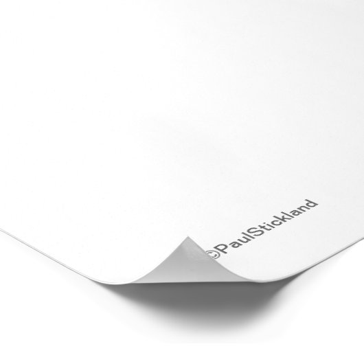 Funny Owl ポスター (角)