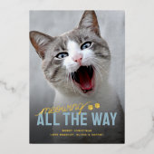 Funny Pet Cat Christmas 箔シーズンカード (正面)