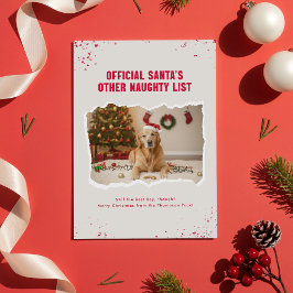 Funny Pet Dog Photo Christmas Holiday Postcard ポストカード