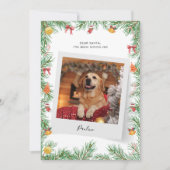Funny Pet Dog Photo Nice List Custom Christmas シーズンカード (正面)