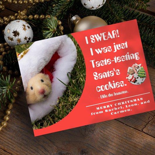Funny pet Hamster Photo Christmas Card シーズンカード