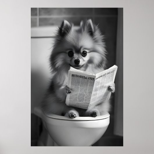 Funny Pomeranian Bathroom Print, Newspaper Reading ポスター (正面)