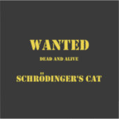Funny Quantum Joke: Schrödinger’s Cat on the Loose シール (正面)
