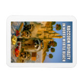 Funny Raccoon Royalty in North Myrtle Beach マグネット (横)