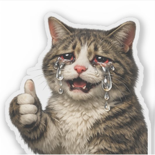 Funny Relatable Crying Kitty Meme シール (正面)