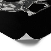 Funny Rude Black Dachshund Dog Meme Middle Finger  ポスター (角)