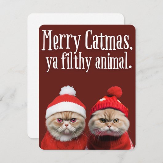 Funny Santa Cats Holiday Greeting シーズンカード (正面/裏面)