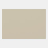 Funny Santa Claus and Reindeer Christmas Winter ラッピングペーパーシート (正面3)