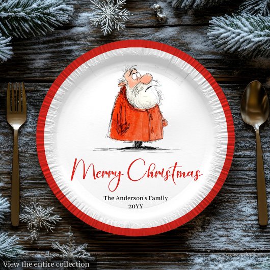 Funny Santa Claus Holiday Festive Paper Plates ペーパープレート