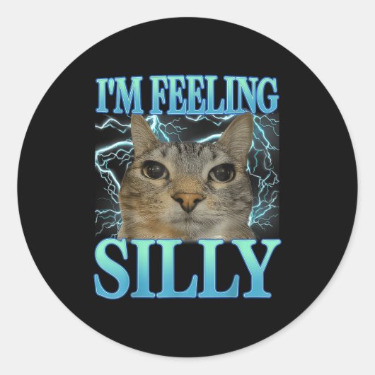 Funny Saying Cat Lover I'm Feeling Silly Cat Meme  ラウンドシール (正面)