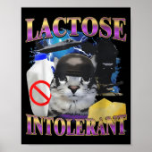 Funny Saying Lactose Intolerant Silly Cat Meme Cat ポスター (正面)