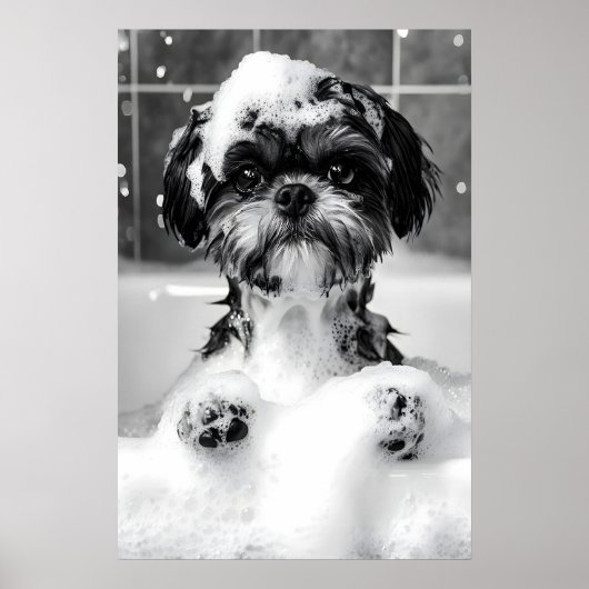 Funny Shih Tzu Bubble Bath Photograph, Dog ポスター (正面)