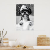 Funny Shih Tzu Bubble Bath Photograph, Dog ポスター (キッチン)