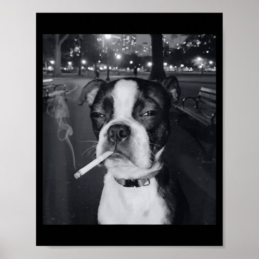 Funny Smoking Dog Meme Cigarette Gen Z Meme Dog Lo ポスター (正面)