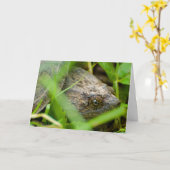 Funny snapping turtle belated birthday card カード (黄色い花)