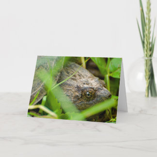 Funny snapping turtle belated birthday card カード