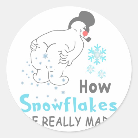 Funny Snow How Snowflakes Are Really Made  ラウンドシール (正面)