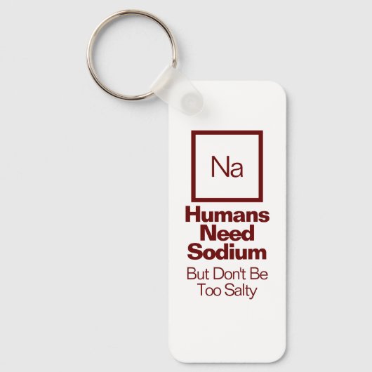 Funny Sodium Chemistry Pun キーホルダー (正面)