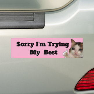 Funny "Sorry I'm Trying My Best" Bumper Sticker |  バンパーステッカー