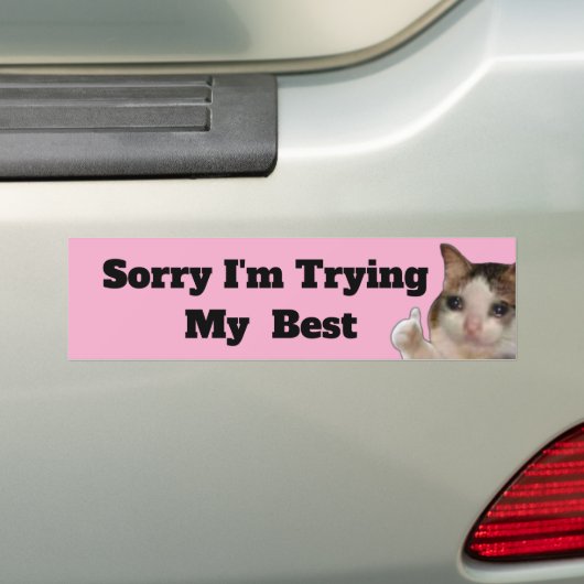 Funny "Sorry I'm Trying My Best" Bumper Sticker |  バンパーステッカー (車上)
