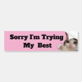 Funny "Sorry I'm Trying My Best" Bumper Sticker |  バンパーステッカー (正面)