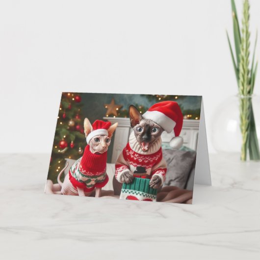Funny Sphynx Cats Christmas Card サンキューカード (正面)