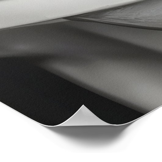 Funny Squirrel Bathroom Print, Reading Newspaper ポスター (角)