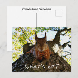 Funny Squirrel What's Up Cute Animal Hello i シーズンポストカード