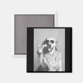 Funny Tail Dog Golden Retriever With Sungles Marti マグネット (正面/裏面)