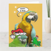Funny Talking Parrot Merry X-Mas Greeting Card カード (正面)