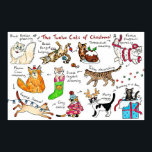 Funny The Twelve Cats Of Christmas ポスター<br><div class="desc">The Twelve Cats Of Christmas</div>