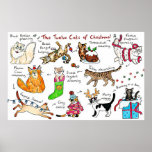 Funny The Twelve Cats Of Christmas ポスター<br><div class="desc">The Twelve Cats Of Christmas</div>