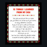 Funny Things I Learned From My Dog ポスター<br><div class="desc">Just think of all the interesting things you could learn from your Dog! This humorous design, accented with dog bone and red ball toy shapes, captures ten of the most important life lessons your dog could teach you! Cats taste good, but don’t like to be tasted. Lick your friends and...</div>