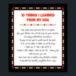 Funny Things I Learned From My Dog ポスター<br><div class="desc">Just think of all the interesting things you could learn from your Dog! This humorous design, accented with dog bone and red ball toy shapes, captures ten of the most important life lessons your dog could teach you! Cats taste good, but don’t like to be tasted. Lick your friends and...</div>